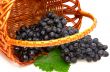 Bunches of grapes  in basket.