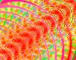 fractal spine