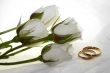 Wedding rings
