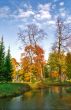 Autumn in the park