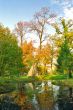 Colors and reflections in autumn park
