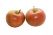 Two red ripe apples isolated