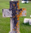 Mossy Tombstone