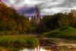 Swamp