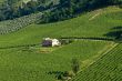 Farmhouse in Italy, near Ancona