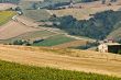 Marche - Landscape near Cingoli