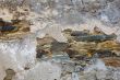 Textures of old stones