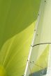 Fragment of a sail / a sailing background
