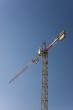 crane