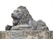 Stone lion