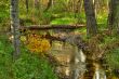 Creek