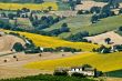 Marche - Landscape near Cingoli