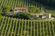 Farm in Italy