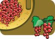 red currant