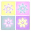 Flower Backgrounds