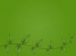 Green Vine Background