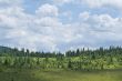 Summer mountain landscape
