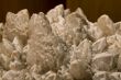 Rocks beauty