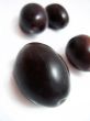 Plums