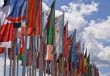 International meeting