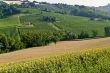 Landscape in the Marche region