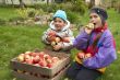 Outdoors with apples