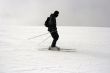Skier