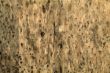 Texture