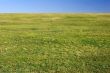 Field