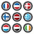 halftone flag button 5