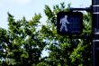 Walk Signal
