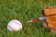 Baseball Steroids