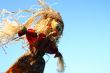 Scarecrow