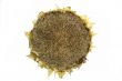 Eaten sunflower isolated