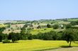 Marche - Landscape with sunflowers