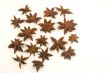 Star anise
