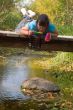 Summer Fun