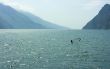 Surf-riding on Garda lake