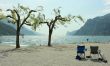 Chairs, trees, and surfers