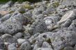 stones