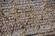 stockfish