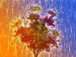 Tree with falling leaves, illustration