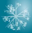Snowflake illustration