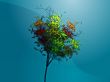 Autumn tree