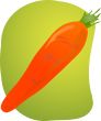 Carrot illustration
