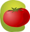 Tomato illustration