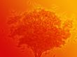 Tree with falling leaves, illustration