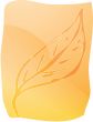 Leaf illustration