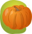 Pumpkin illustration