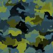 Camouflage pattern texture